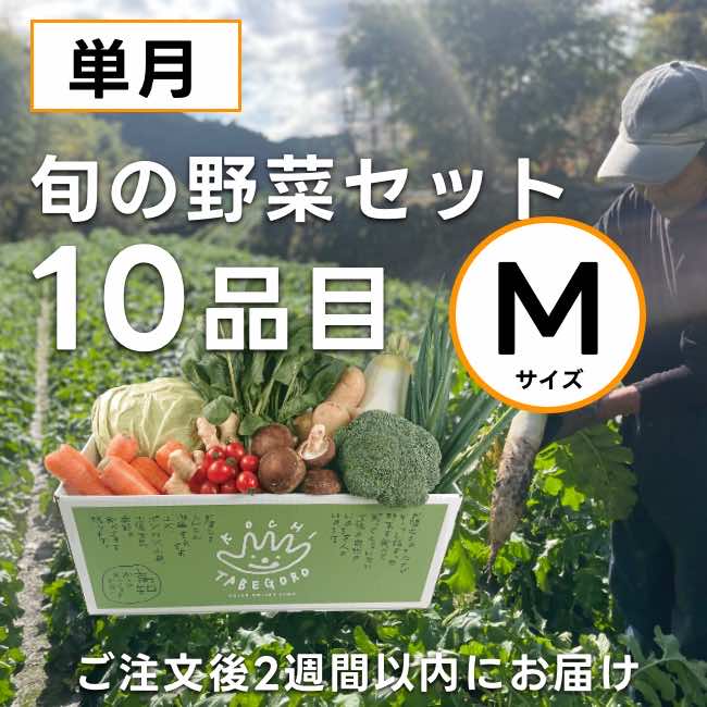 高知の野菜セット（M）単月