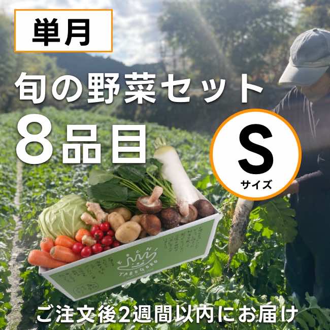 高知の野菜セット（S）単月