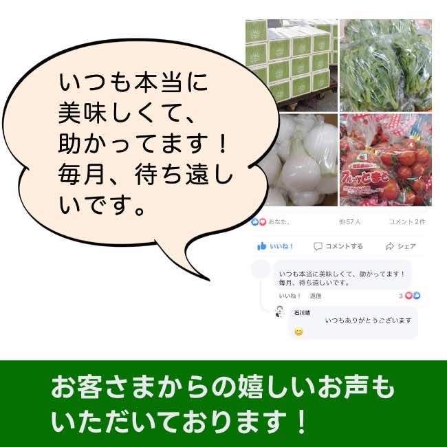 お野菜定期便（S） – TABEGORO 土佐山田ショッピングセンター