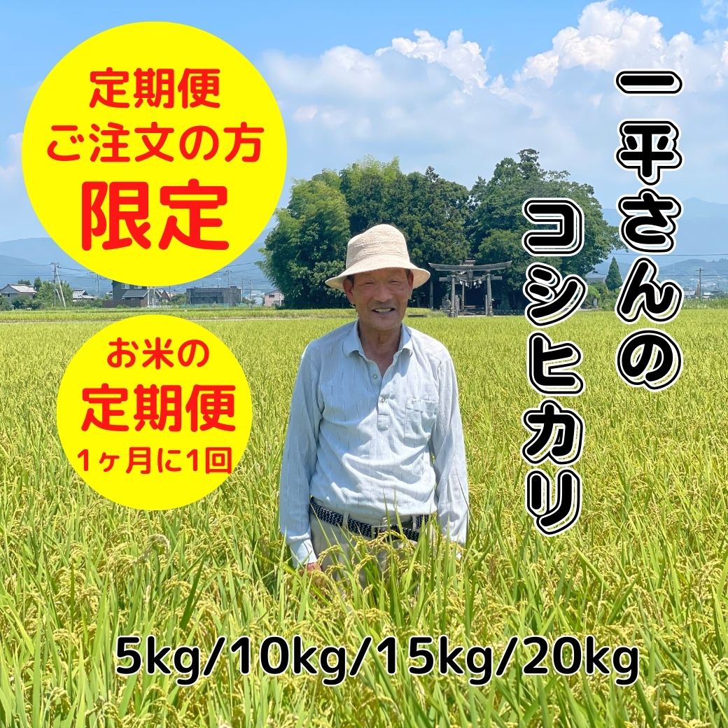山崎一平さんのコシヒカリ　定期便　(5kg～20kg）/月1回