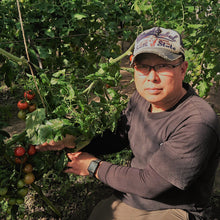 画像をギャラリービューアに読み込む, 橋田さんのフルーツトマト　１袋～
