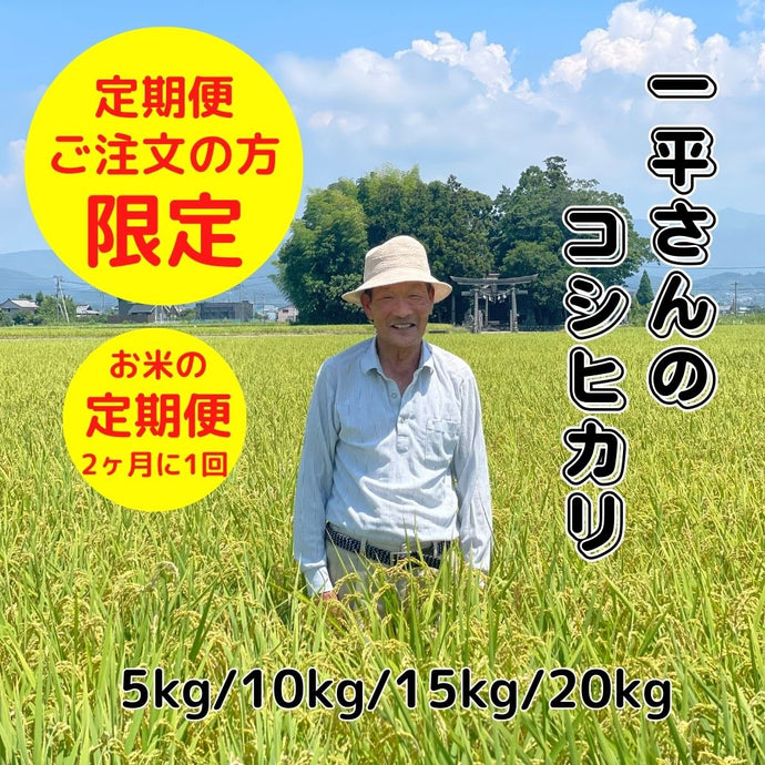 山崎一平さんのコシヒカリ　定期便　(5kg～20kg）/2ヶ月に1回