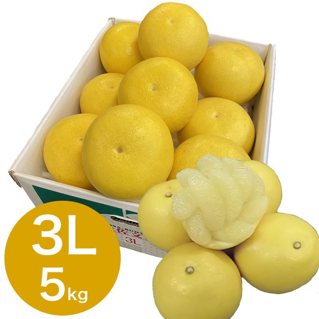 『発送は1月中旬から』 露地文旦 5kg 3L