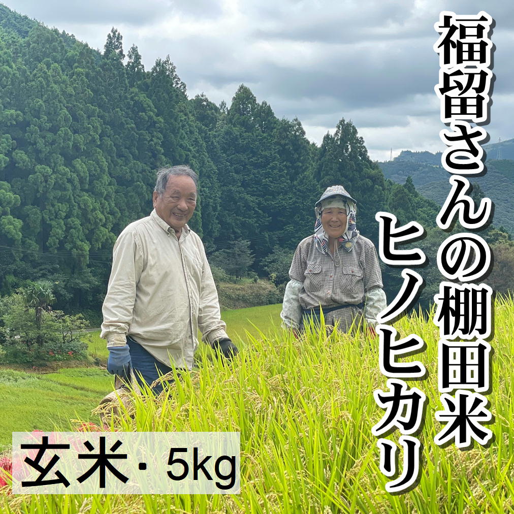 福留さんの棚田米　玄米5kg　（令和3年度高知県産ヒノヒカリ）