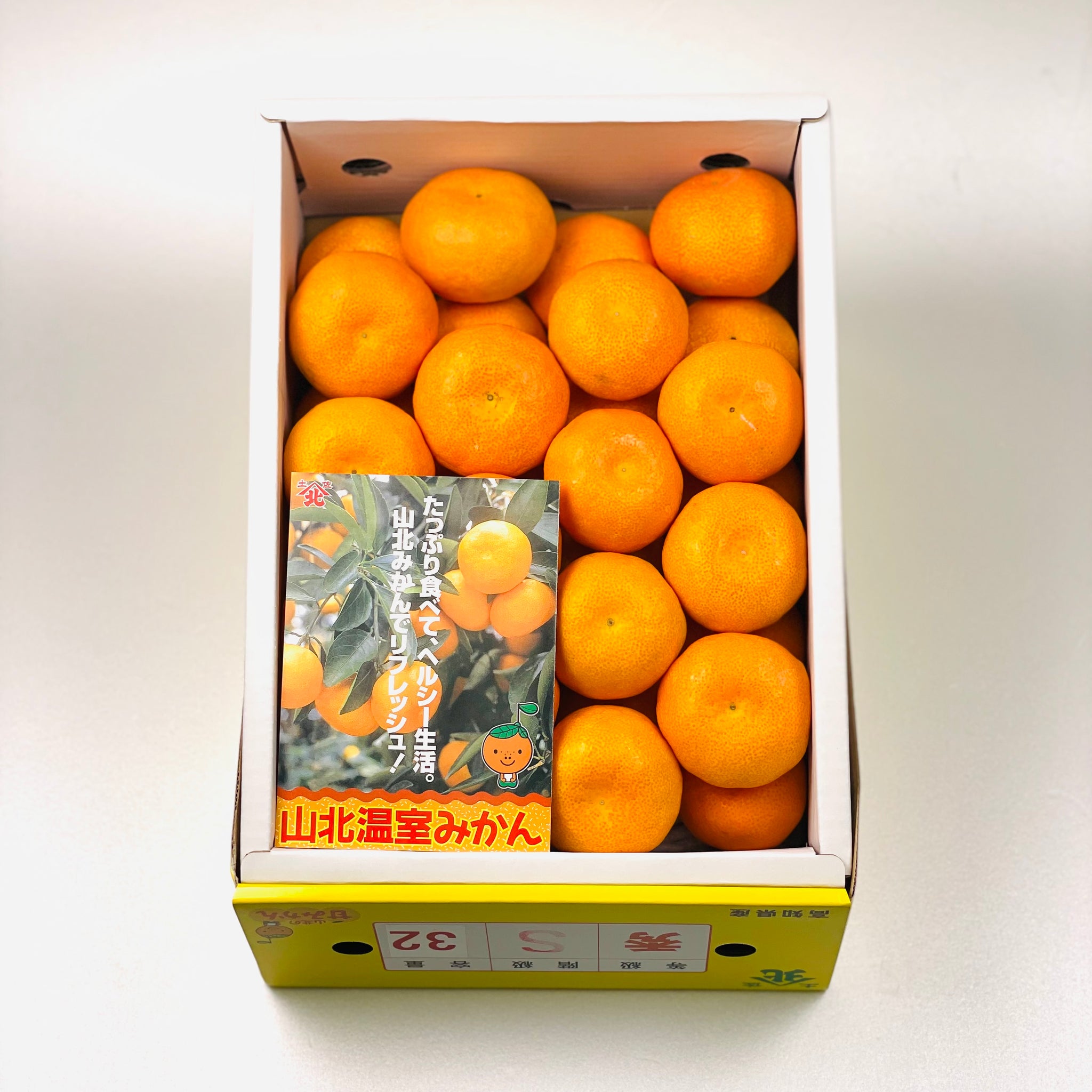 山口周防大島産『せとか 贈答用DX 約1.6kg(6〜8玉) 化粧箱