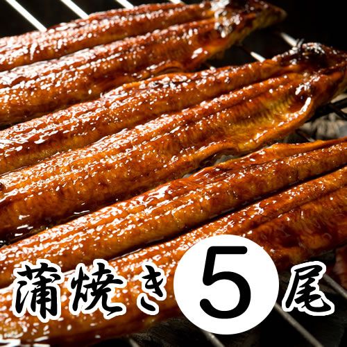 四万十うなぎ蒲焼 5尾セット