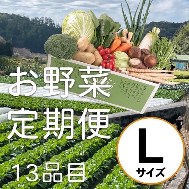 お野菜定期便（L）