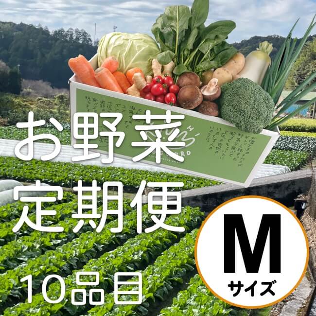 お野菜定期便（M）　–　TABEGORO　土佐山田ショッピングセンター